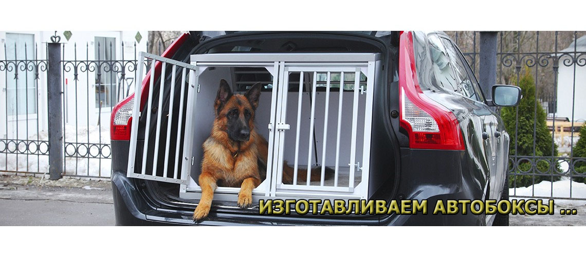 Перевозка собаки в автомобиле: как создать питомцу комфортные и безопасные условия